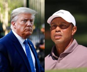 Tiger Woods estuvo involucrado en un accidente de tránsito del que salió ileso pero del que se negó a una prueba de orina. Al momento del accidente hablaba por telefóno, dijo que estaba en comunicación con el presidente, sin especificar si era con Trump.