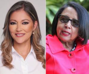 La periodista y defensora de derechos humanos, Dina Meza, denunció que la secretaria de Derechos Humanos, Leda Lizethe García Pagán, se mostró agresiva y estigmatiza las organizaciones.