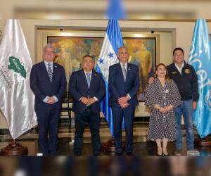 La Asociación de Municipios de Honduras (Amhon), la Secretaría de Educación y la presidencia son parte de este proyecto.