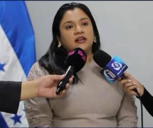 La directora de Protección del Hondureño Migrante, que hace parte de la Secretaría de<b> Relaciones Exteriores</b>, Nancy López, brindó detalles.