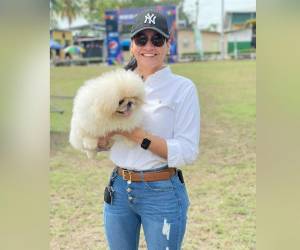 Según una fuente del Ministerio Público, las investigaciones en torno al asesinato de la ingeniera Lilian Elizabeth Padilla, de 37 años de edad, en San Pedro Sula, revelan que la hipótesis que más se fortalece es la de un móvil pasional. A continuación los detalles del caso.