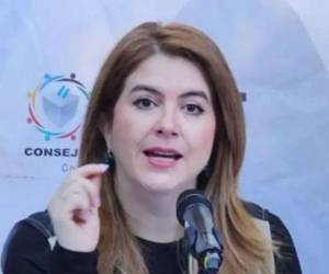 La consejera del CNE denunció que usan la acusación de fraude como excusa para salir a las calles.