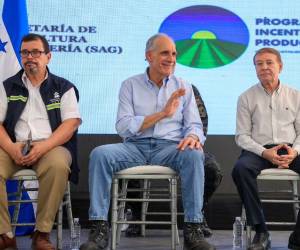 Nasry Asfura durante el evento con alcaldes y agricultores.