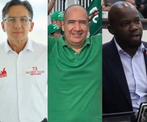 El CNE realizó en las últimas horas la declaratoria oficial de las Elecciones 2025 en Honduras y estos son los deportistas que ahora ocuparán un cargo como diputados en el Congreso Nacional.