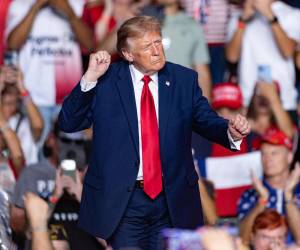 Donald Trump afirmó que recompesaría a quienes voten por su partido en las elecciones legislativas.