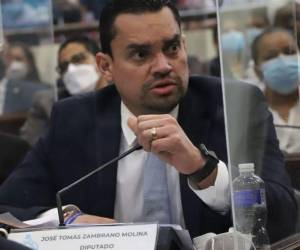 Tomás Zambrano es el líder de la bancada nacionalista en el Congreso Nacional.