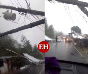 Las imágenes muestran los postes doblados sobre la carretera y un enorme rótulo tapando la mitad de la vía.