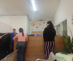 La veterinaria municipal estará cerrada este 18 y 19 de junio por adecuamiento en sus instalaciones, anunciaron autoridades
