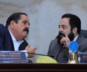 Luis Redondo y Carlos Zelaya han sido citados para declarar en el caso Sedesol, aunque su presencia no es segura.