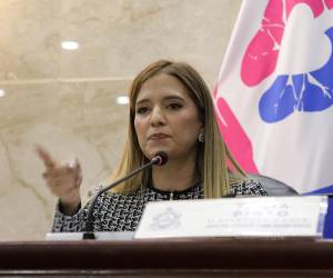 Pinto subrayó que el juicio político es una figura contemplada en la Constitución de la República, específicamente en el artículo 234, y aseguró que se respetará el debido proceso y el derecho a la defensa de los implicados.