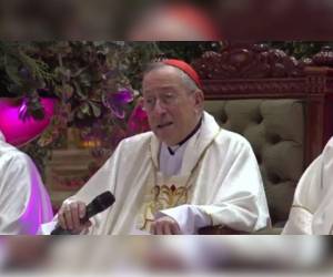 El cardenal Óscar Andrés Rodríguez durante la homilía de este domingo.