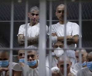 El presidente de El Salvador, Nayib Bukele, afirmó este martes que su Gobierno tiene un plan de liberación anticipada y condicional para reos detenidos durante un régimen de excepción que colaboraron con las pandillas (maras) mientras vivían bajo el “yugo” de estas estructuras, lo que podría beneficiar a cerca de la mitad de detenidos que son acusados de ser colaboradores de las llamadas maras.