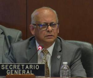 El secretario general de la Organización de los Estados Americanos (OEA), Albert Ramdin, dio sus valoraciones en la sesión extraordinaria.