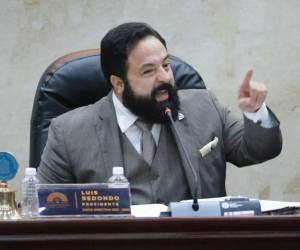 La semana pasada, la Corte Suprema de Justicia (<b>CSJ</b>) emitió órdenes de captura contra Luis Redondo y Edis Moncada, exgerente de la ENAG.