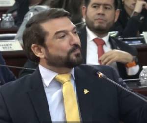 Yuri Sabas, diputado del Congreso Nacional.