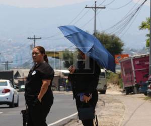 Las condiciones cálidas prevalecerán para este martes 12 de mayo.