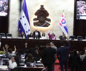 La propuesta fue presentada por la vicepresidenta del Congreso Nacional, Karla Figueroa (La primera a la izquierda de la fotografía).