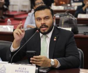 El diputado Alex Berríos, espera que la iniciativa sea discutida y aprobada de forma pronta en el Congreso Nacional.