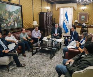 Miembros del gobierno de la República se reunieron con representantes de los productores e industriales de palma africana y analizaron los temas para ampliar los mercados internacionales.