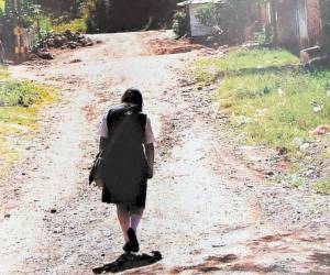 Honduras desarrolla una política de seguridad encaminada a reducir la tasa de homicidios que, pese a la lucha, sigue siendo la más elevada de la región.