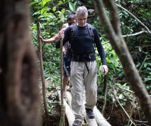 Phillips estaba en la Amazonía investigando para un libro sobre la conservación del medio ambiente.