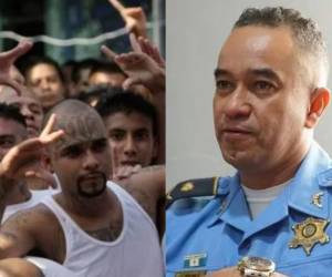 Molina sostuvo que la efectividad de las investigaciones depende también de la colaboración ciudadana, por lo que motivó a las víctimas a denunciar.