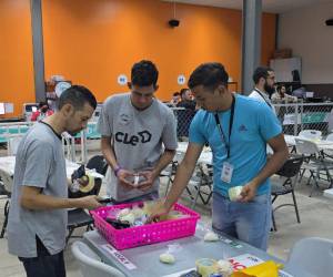 El jueves 18 de diciembre inició el escrutinio especial en Centro Logístico Electoral (CLE).