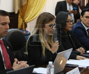 La audiencia inició tras la presentación de un recurso de amparo por parte del magistrado antes la secretaría del Legislativo.
