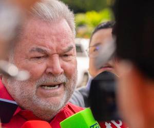 Roberto Contreras desautorizó a Iroshka Elvir para dar declaraciones a nombre del Partido Liberal.