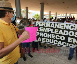 Los maestros Proheco han impulsado sendas jornadas de protestas a nivel nacional en exigencia a que se respete su estabilidad laboral en la nueva administración gubernamental.