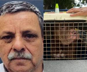 La noche del 21 de septiembre, un perro pitbull atacó a su dueño y le quitó la vida. En las últimas horas se han dado a conocer detalles sobre el trato que recibía el animal, según relatos de algunos de los vecinos en la colonia Hato de Enmedio, sector 4.