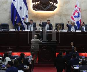 No todos los diputados del Partido Liberal apoyaron esta condecoración a la que también se opuso Iroshka Elvir.