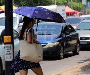 En la capital las temperaturas seguirán siendo alta y persiste la contaminación del aire.