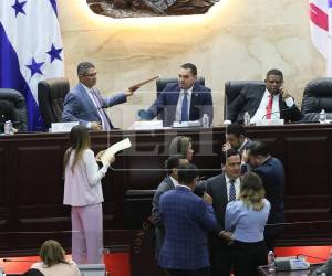 La parlamentaria explicó que es su primera experiencia como diputada y que asume el cargo con responsabilidad y compromiso.