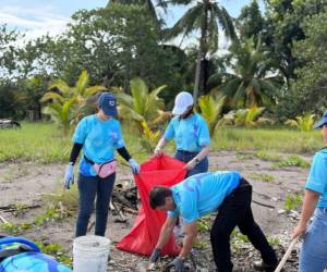 Los jóvenes realizaron la limpieza de las playas.