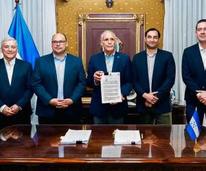 El objetivo de esta reorganización es ordenar el funcionamiento de cada una de estas áreas y establecer una estructura diferenciada dentro del sistema eléctrico nacional.