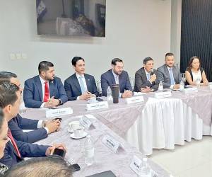 Una vez concluido este proceso, el anteproyecto será sometido a aprobación del Pleno de Magistrados y posteriormente remitido al Congreso Nacional para su discusión y eventual aprobación.