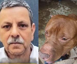La Dirección de Medicina Forense del Ministerio Público confirmó los resultados preliminares de la autopsia practicada a Alex Alfonzo Maldonado, de 75 años, quien murió tras ser atacado por su perro Zeus. ¿Qué revela el informe? Aquí los detalles.