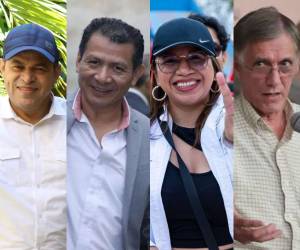 Luego de la destitución del exconsejero Marlon Ochoa y de la renuncia de la consejera suplente Karen Rodríguez en el Consejo Nacional Electoral (CNE), este domingo cierran las vacantes para los candidatos que aspiren a ocupar estos cargos. Estos son algunos de los autopostulantes que han entregado la documentación.