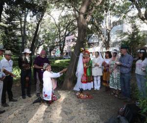 Como acto de concienciación hacia la deforestación y el cuidado del medioambiente, al menos 11 personas se casaron con un árbol en la Ciudad de México. Aquí los detalles de este insólito hecho.