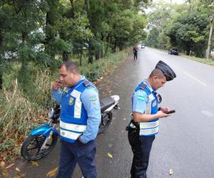 Agentes de la Dirección Nacional de Vialidad y Transporte llegaron hasta la escena.