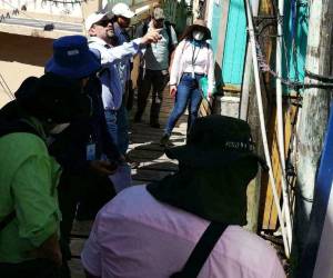 El 90% de la red de distribución de la isla fue inspeccionado, obteniéndose datos de 414 postes y de 243 equipos de medición.