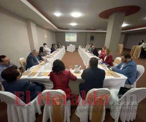 La Junta Nominadora tendrá un mes para definir su reglamento interno y luego del 15 de octubre iniciará el proceso de autopostulaciones de los candidatos a magistrados.