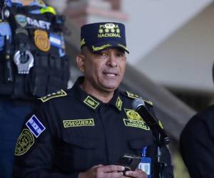 Oseguera Mass reiteró que las operaciones continuarán intensificándose en barrios, colonias y comunidades del país.