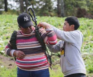 Emanuel Servellón, de 14 años, acompaña a su madre Carmen Leticia en las labores agrícolas, ayudándole con la bomba de fumigar las hortalizas en los cultivos de Lepaterique. Entre surcos y jornadas de trabajo, demuestra el valor del relevo generacional en el campo hondureño y el compromiso familiar con la producción de alimentos.
