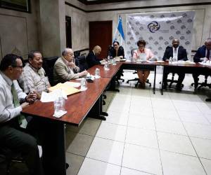 La Comisión Agraria urge de algunas aprobaciones del Poder Legislativo para hacer expedito el proceso de recuperación de tierras.