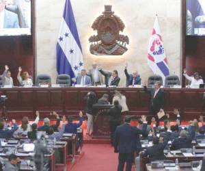 Las declaraciones surgen en medio del proceso de selección que desarrolla la Comisión Especial del Congreso Nacional.