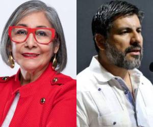 La abogada cuestionó que si hubiere verdadero fundamento legal para acusarlos (consejeros y magistrados), cualquier acción penal puede esperarse hasta después de que haya tomado posesión de su cargo el nuevo gobierno.