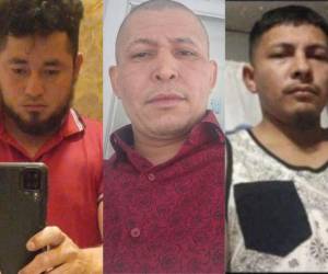 De acuerdo a los medios locales en EEUU, los tres hondureños fueron brutalmente asesinados en una zona boscosa.