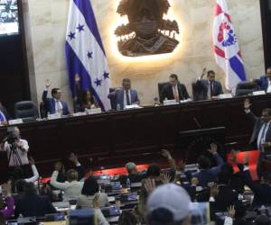 ​El debate subió de tono al abordar la purga estatal que provocará la ley en el engranaje de la administración pública del país.